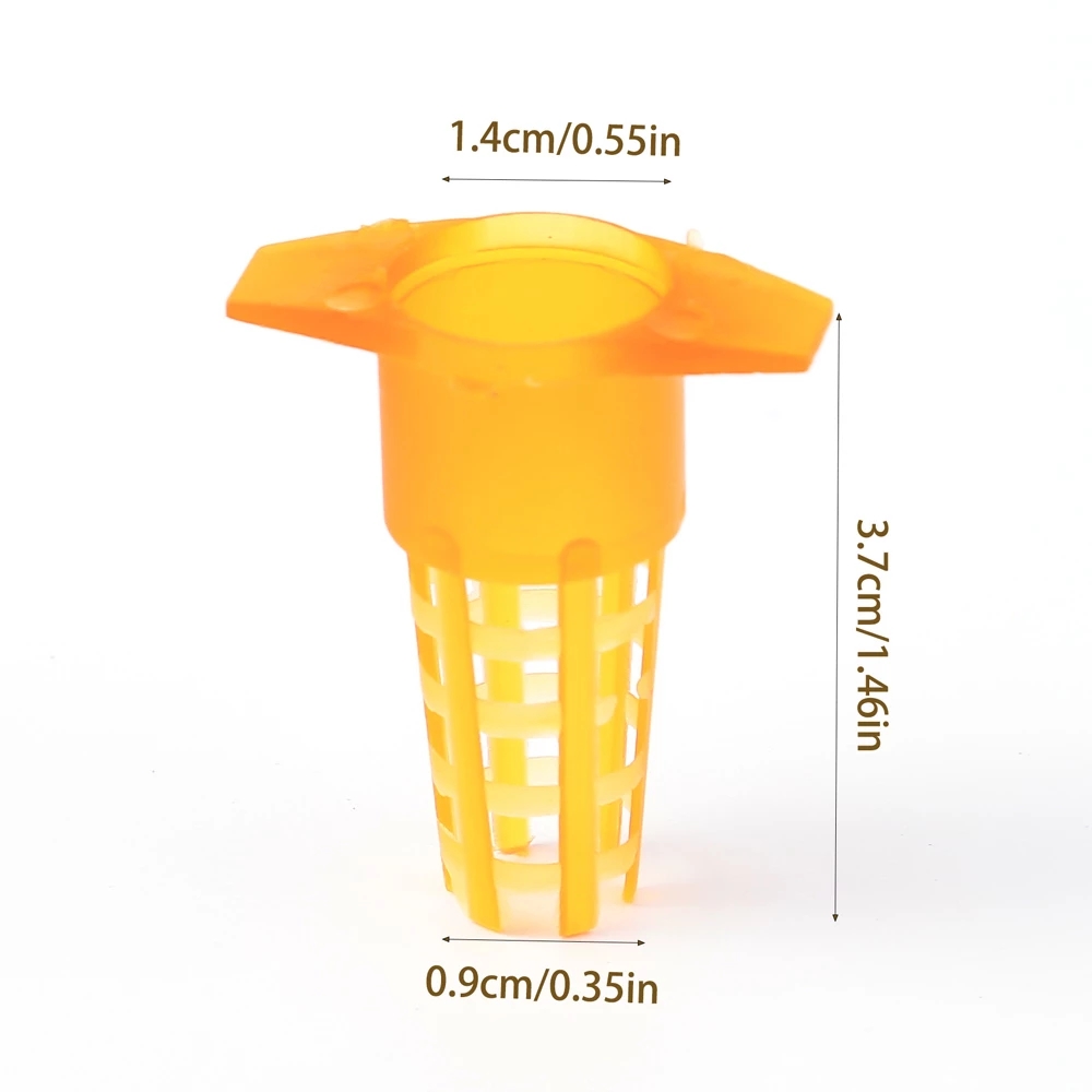 Begonia Rex - 50 Pcs King Cells Plastic Bee