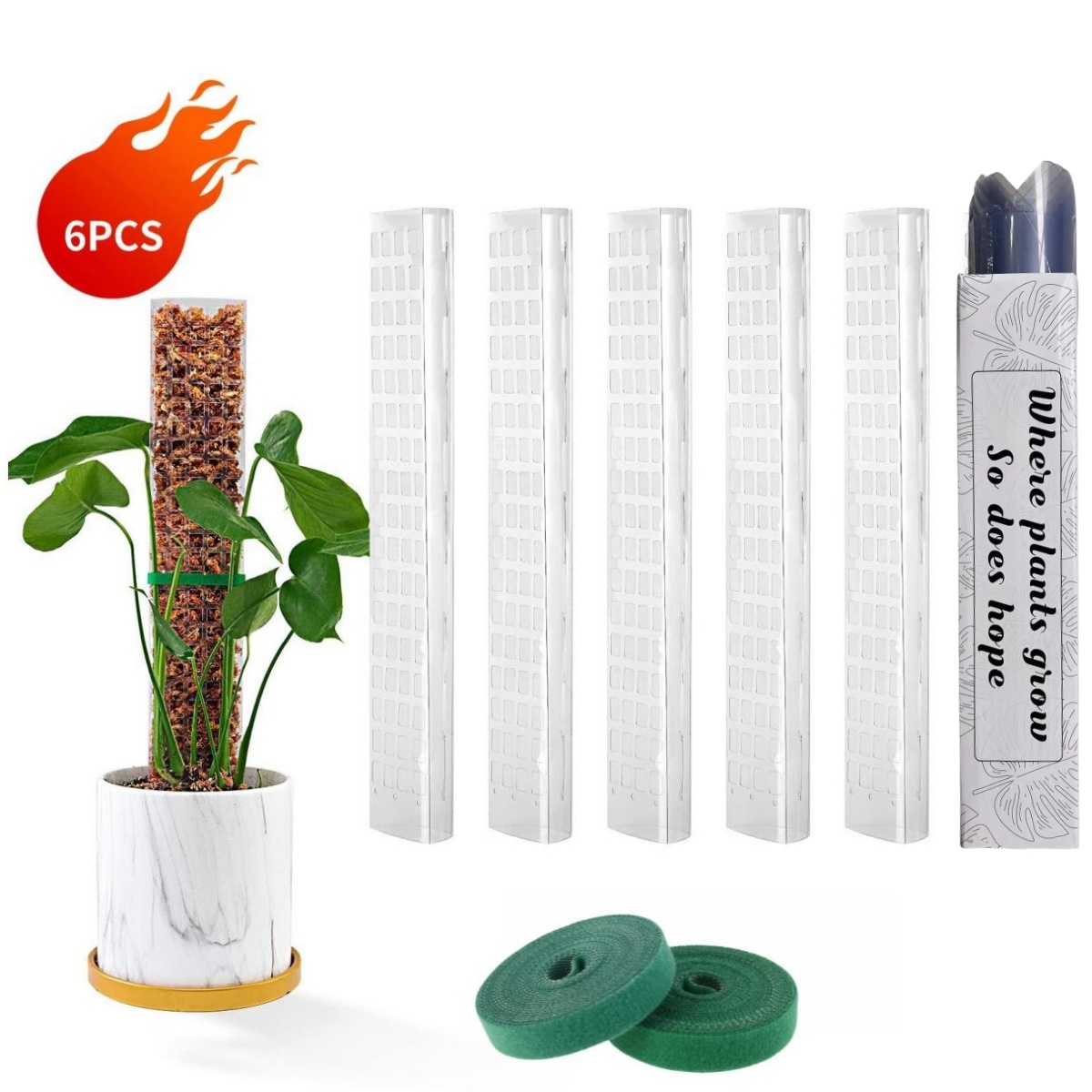 Moss Poles Plants Plant Suppor - Echeveria Succulent 리뷰 및 가격
