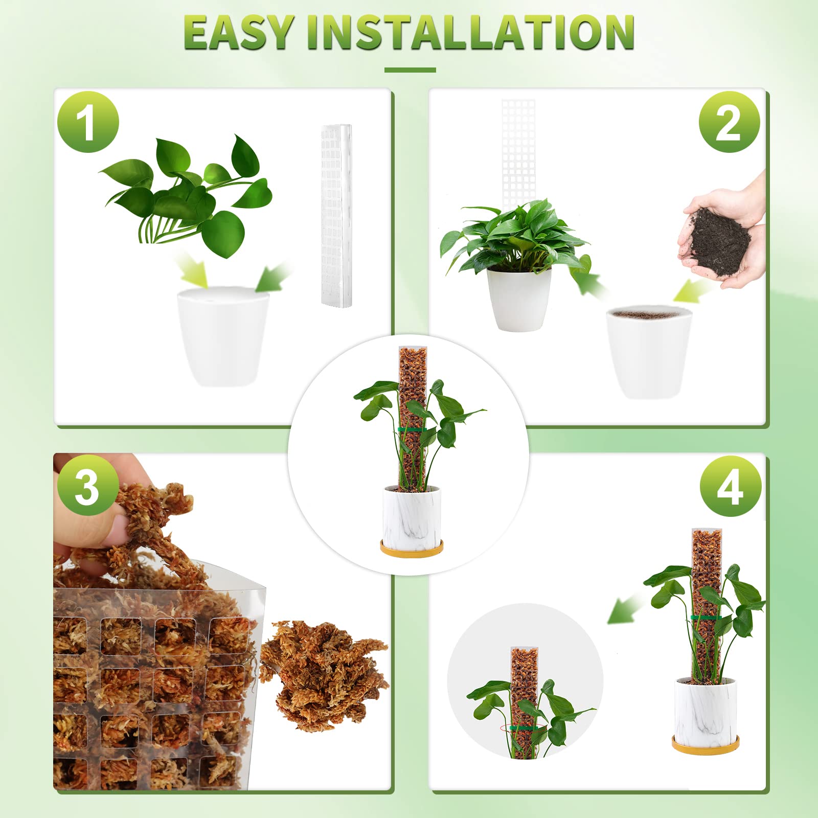 Moss Poles Plants Plant Suppor - Echeveria Succulent 리뷰 및 가격