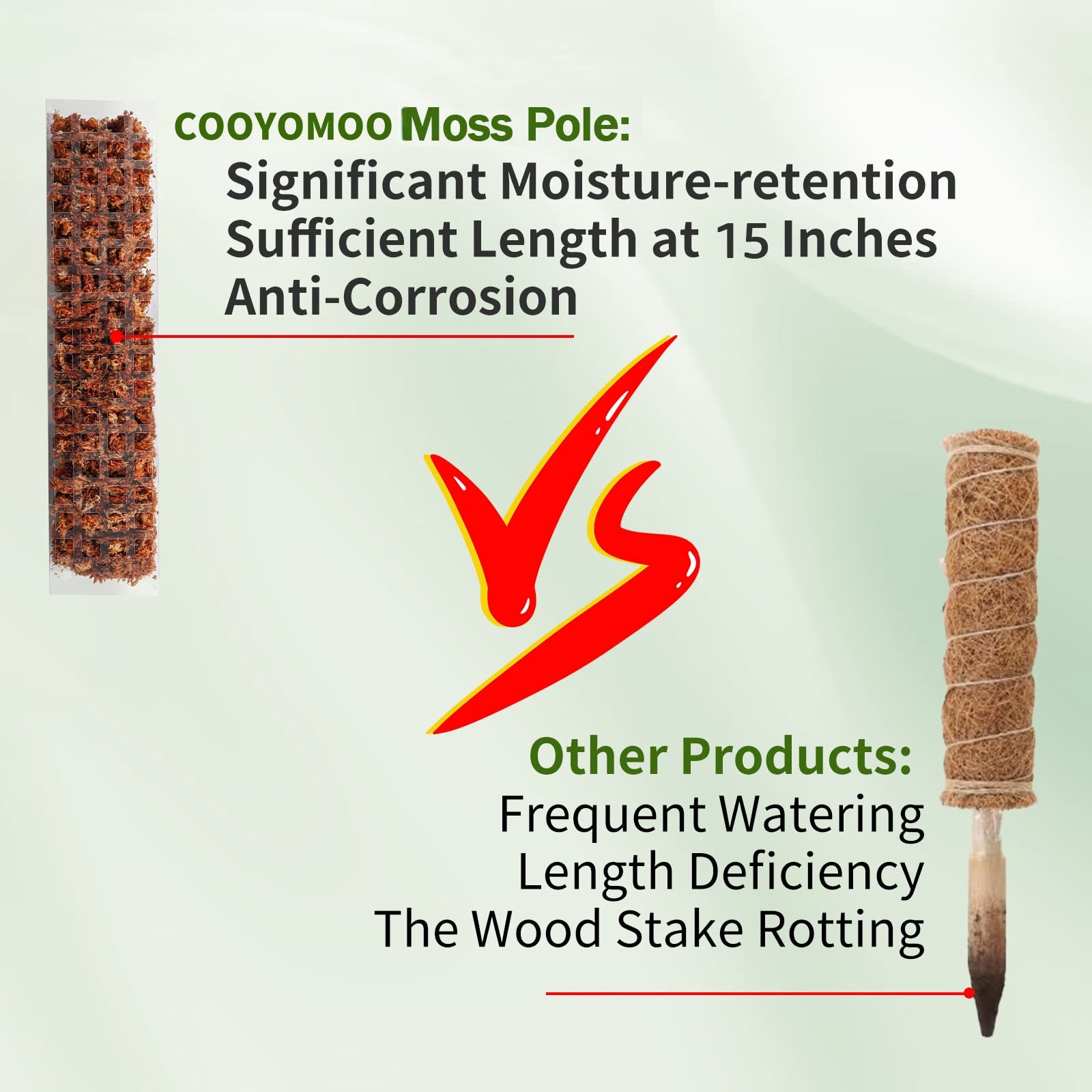 Moss Poles Plants Plant Suppor - Echeveria Succulent 리뷰 및 가격
