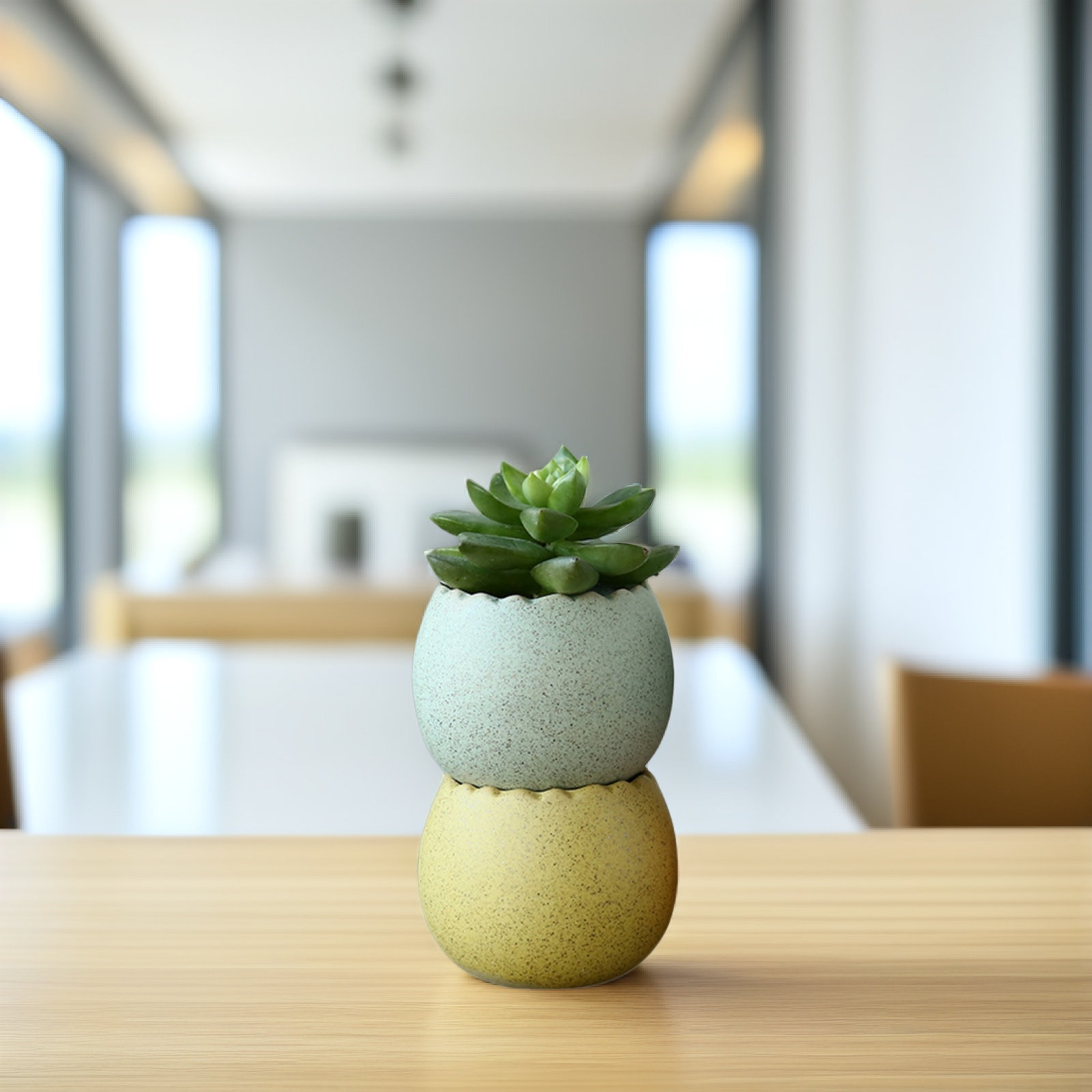 6Pcs Stylish Ceramic Mini Pots - Aloe Vera Pot 리뷰 및 가격