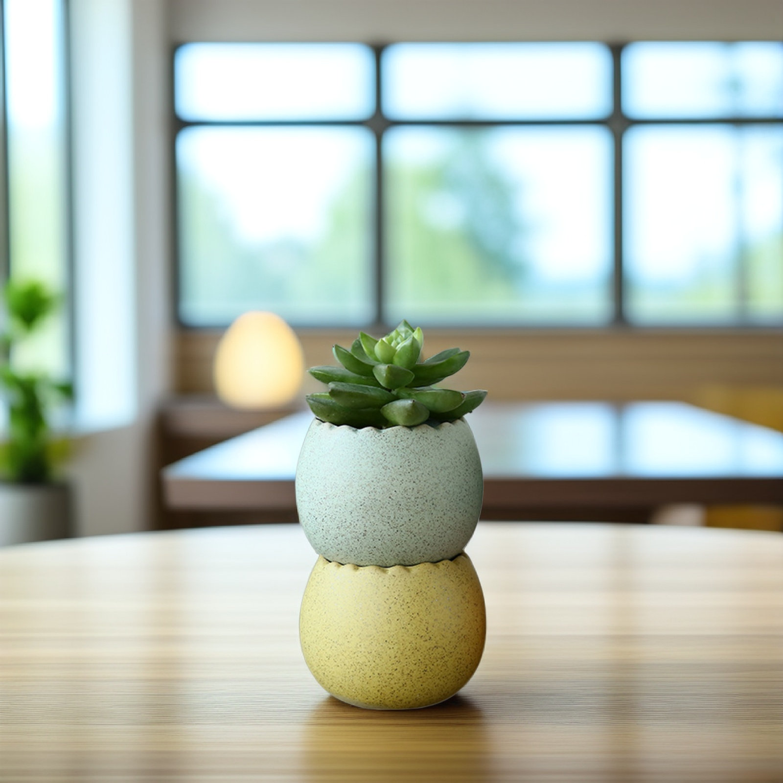 6Pcs Stylish Ceramic Mini Pots - Aloe Vera Pot 리뷰 및 가격