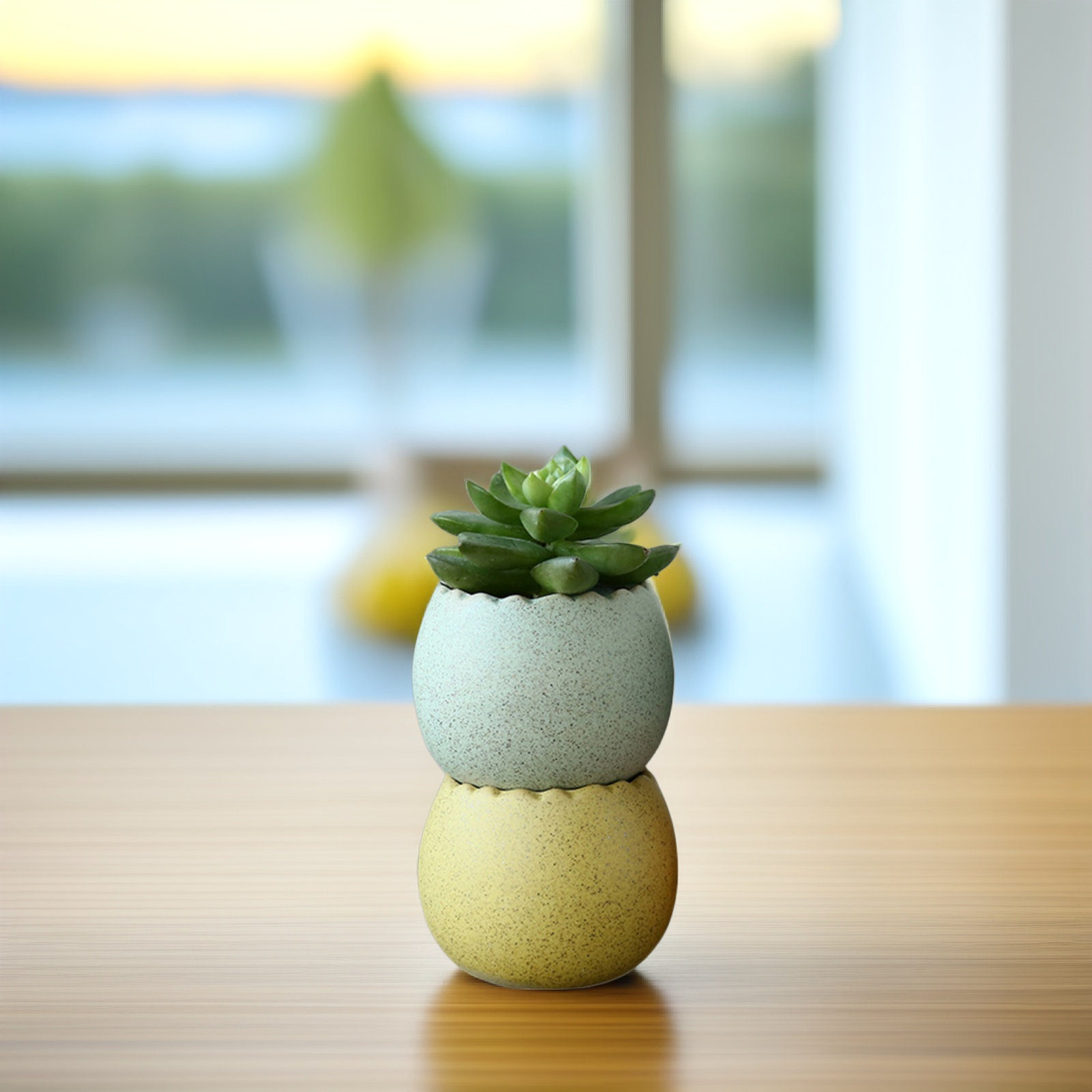 6Pcs Stylish Ceramic Mini Pots - Aloe Vera Pot 리뷰 및 가격