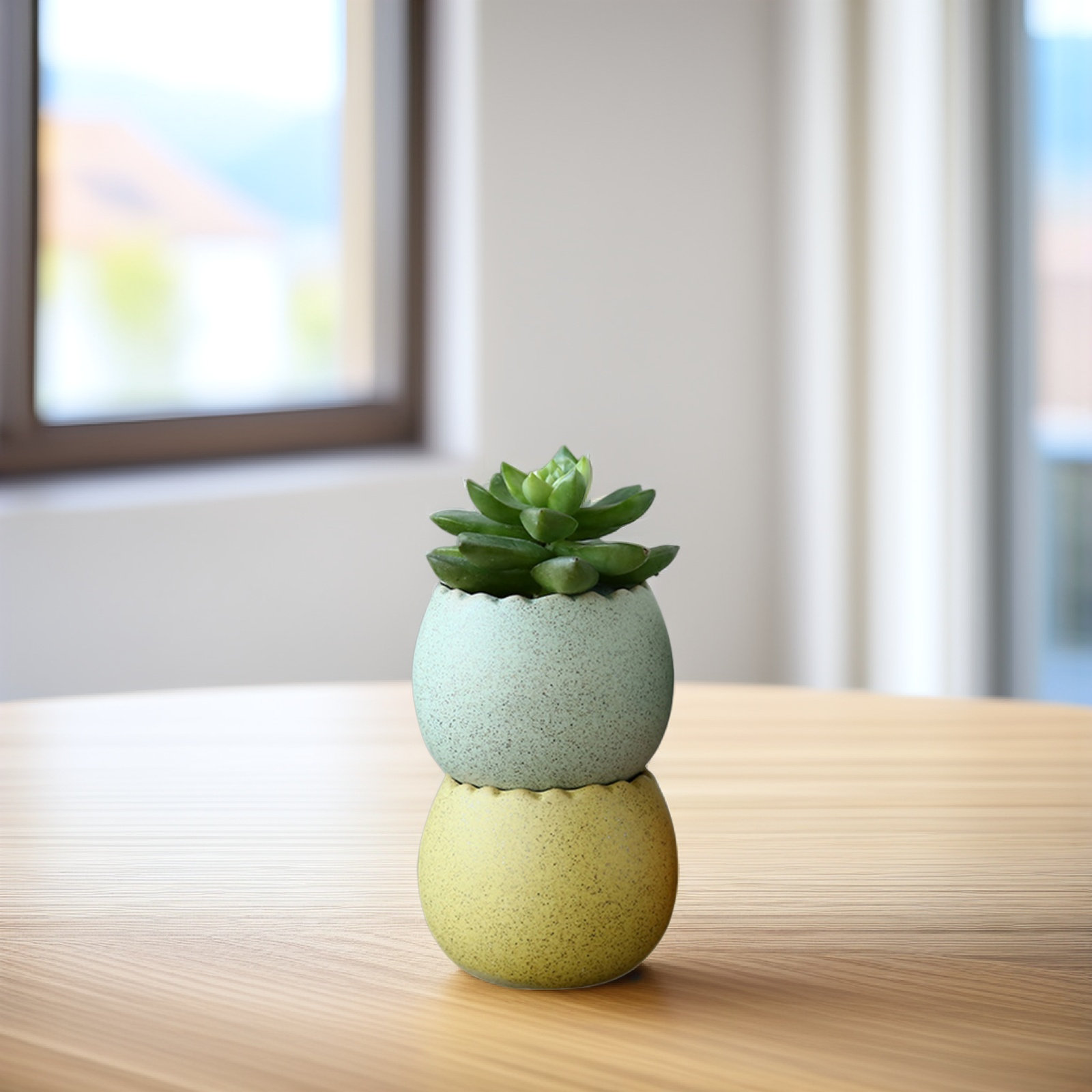 6Pcs Stylish Ceramic Mini Pots - Aloe Vera Pot 리뷰 및 가격