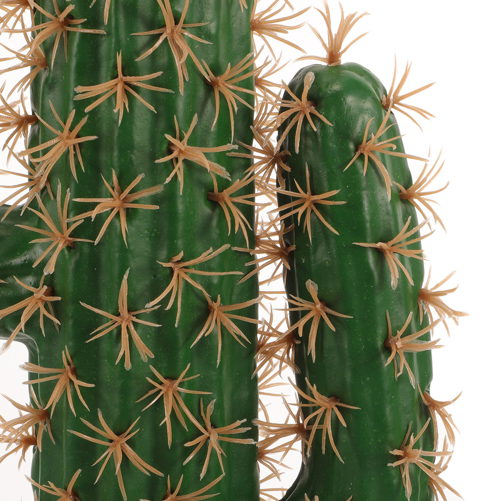 Lifelike Artificial Cactus Pla - Echeveria Succulent 리뷰 및 가격