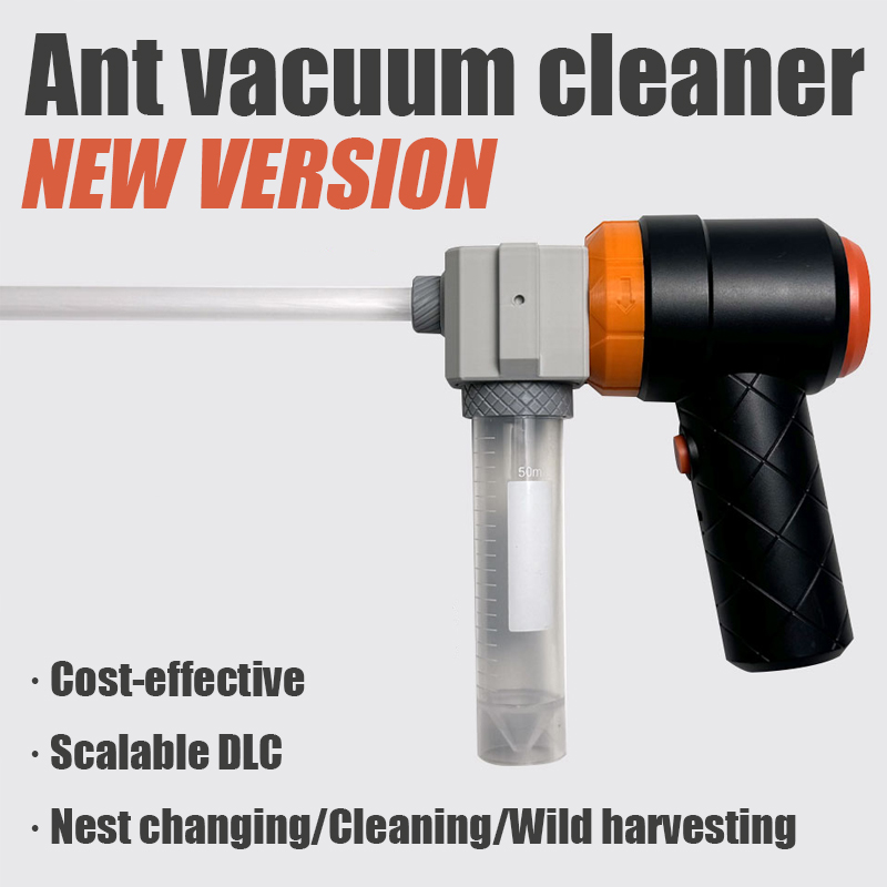 Ant Farm Collection Tool Ants  - Begonia Rex 리뷰 및 가격