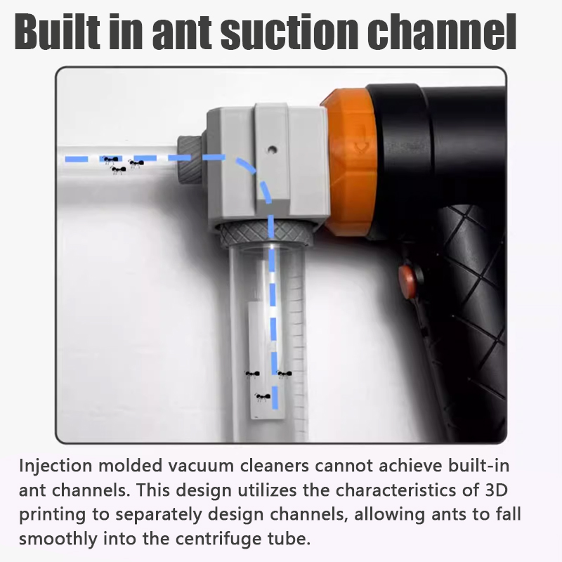 Ant Farm Collection Tool Ants  - Begonia Rex 리뷰 및 가격