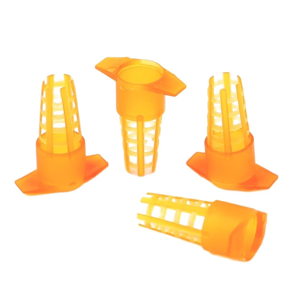 50 Pcs King Cells Plastic Bee  - Begonia Rex 리뷰 및 가격
