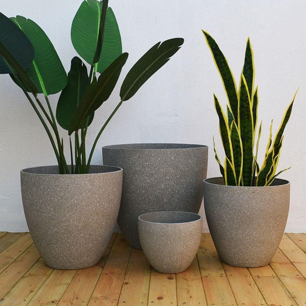 Frosted Imitation Stone Bonsai - Aloe Vera Pot 리뷰 및 가격