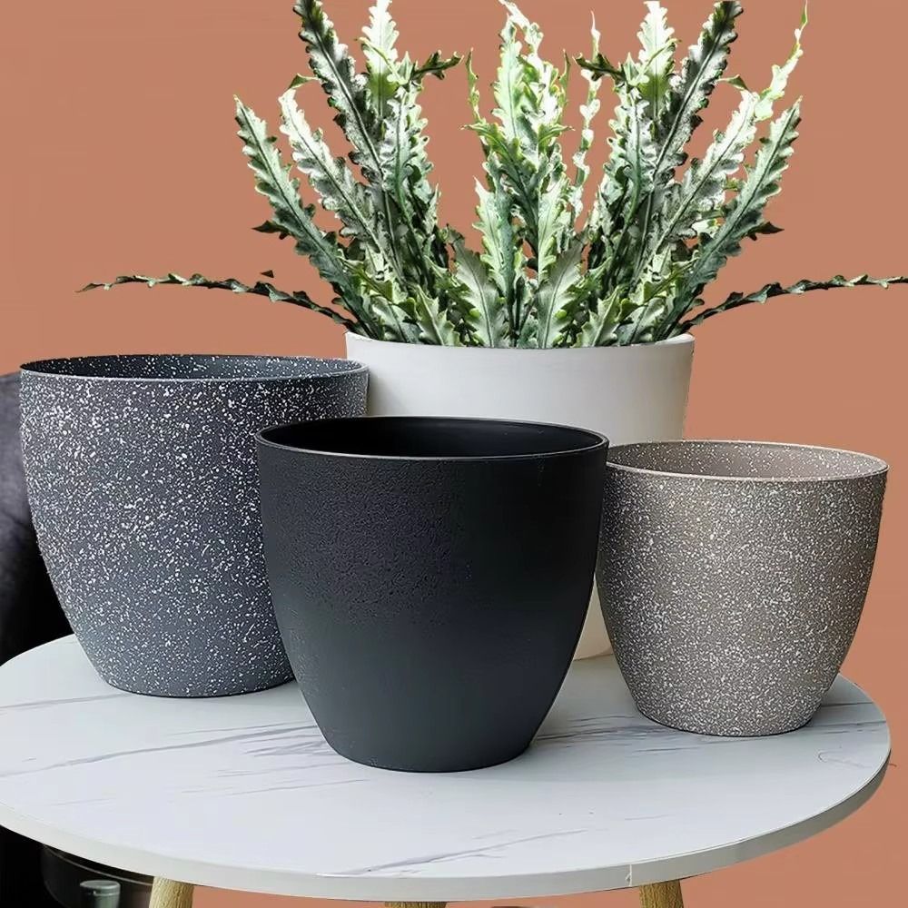Frosted Imitation Stone Bonsai - Aloe Vera Pot 리뷰 및 가격