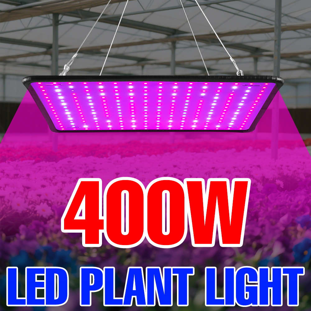 400W LED Grow Light Full Spect - Echeveria Succulent 리뷰 및 가격