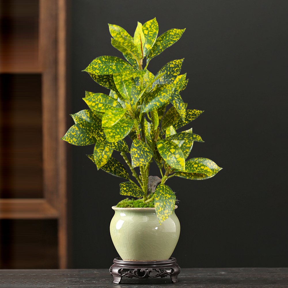 24-41cm Artificial Ficus Tree  - Ficus Lyrata Tree 리뷰 및 가격