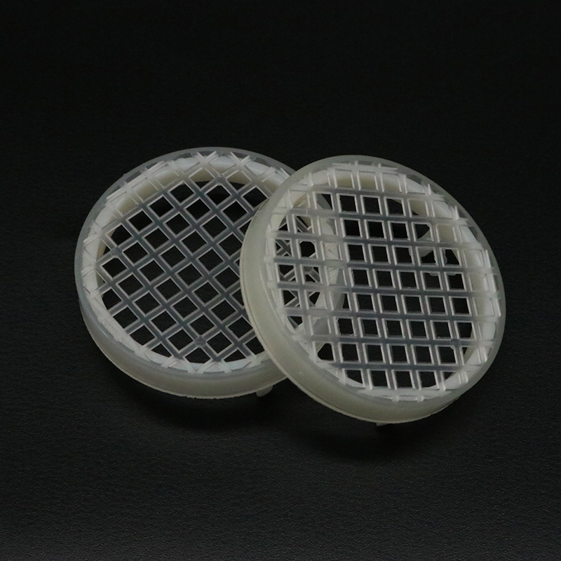 5PCS Bee Farm Round Queen Rear - Begonia Rex 리뷰 및 가격