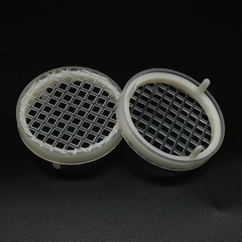 5PCS Bee Farm Round Queen Rear - Begonia Rex 리뷰 및 가격