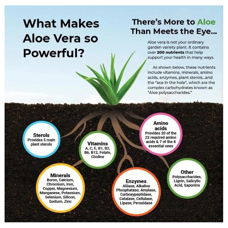 Aloe Vera Capsules - Help Prom - Aloe Vera Pot 리뷰 및 가격