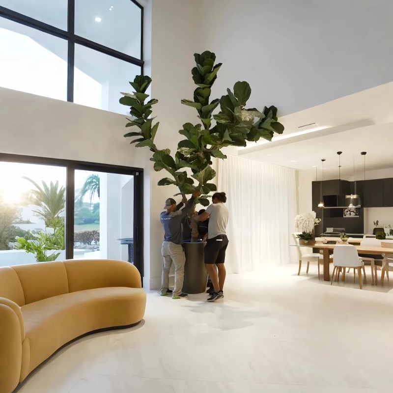 Artificial Plants Indoor Potte - Ficus Lyrata Tree 리뷰 및 가격