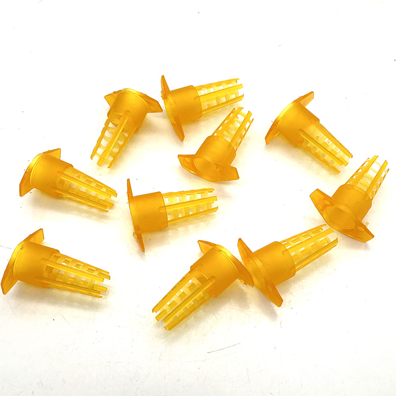 20 pcs Plastic Bee Queen Cage  - Begonia Rex 리뷰 및 가격