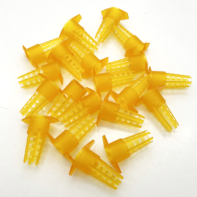 20 pcs Plastic Bee Queen Cage  - Begonia Rex 리뷰 및 가격