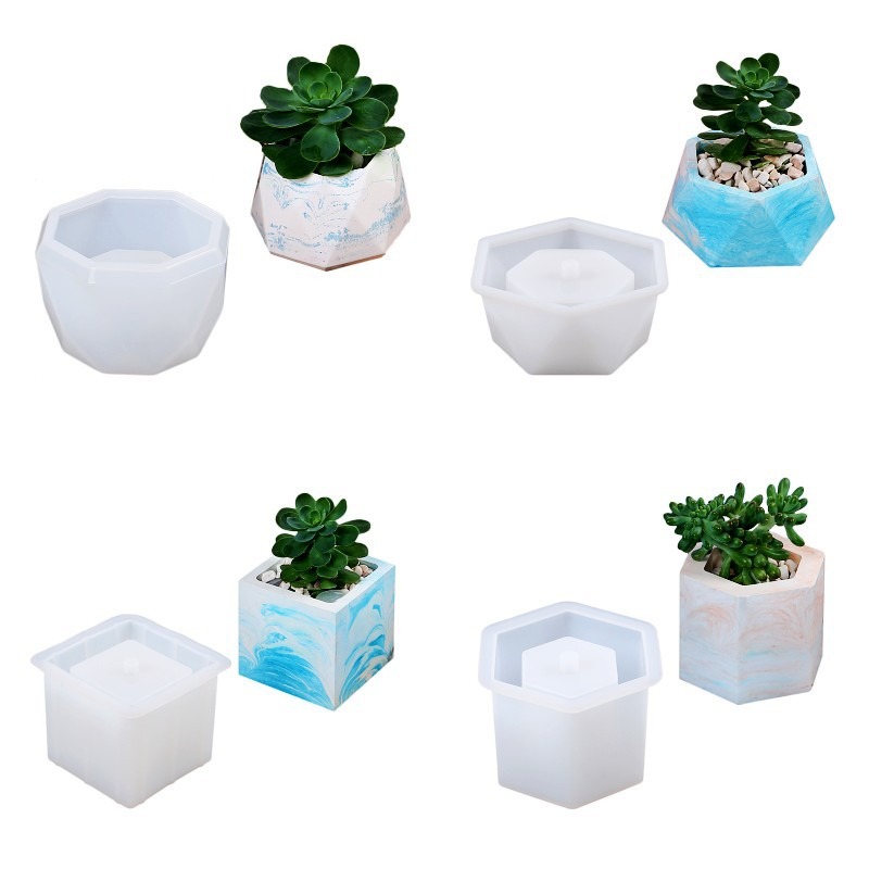 Succulent Flowerpot Silicone M - Echeveria Succulent 리뷰 및 가격