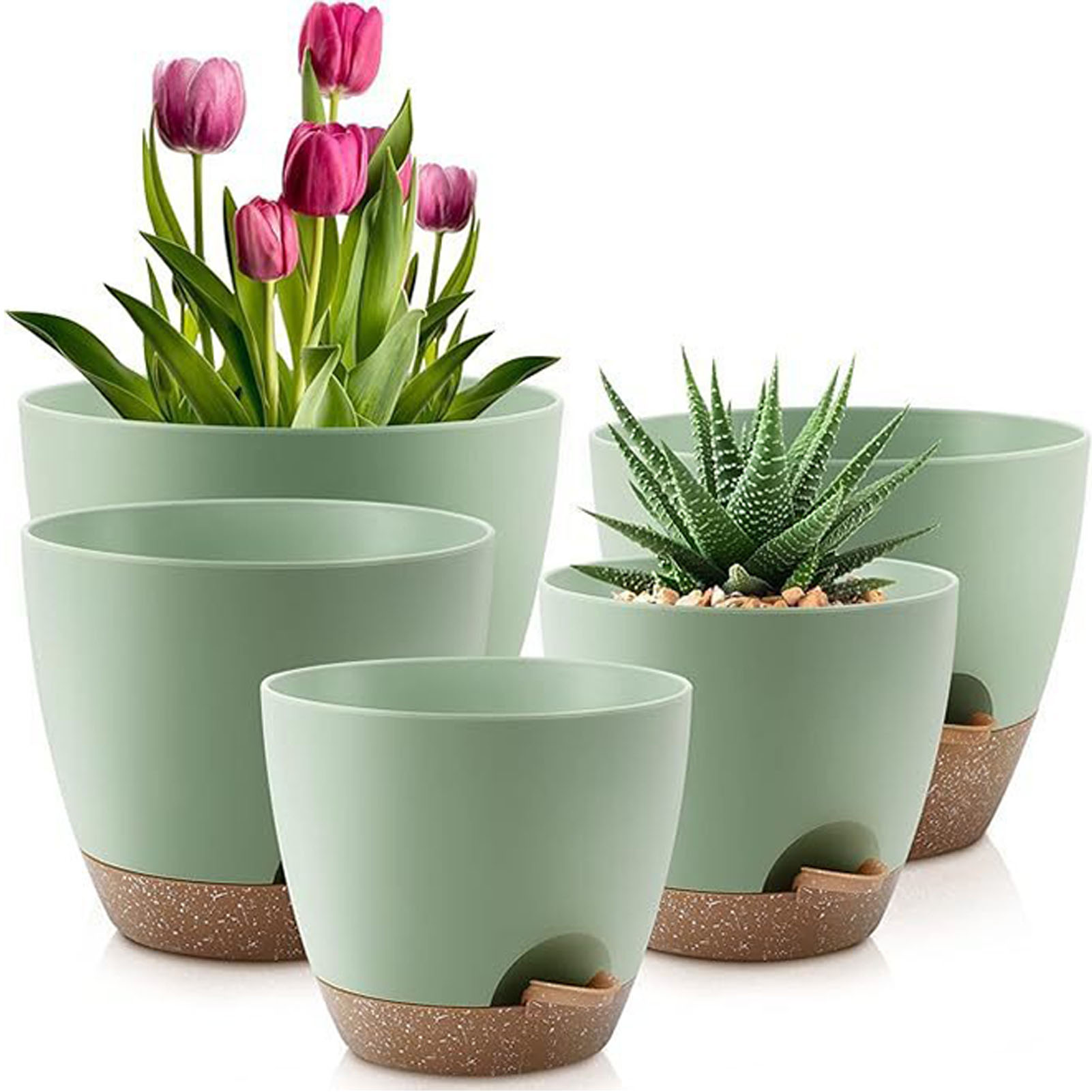 5piece Indoor Flower Pots With - Aloe Vera Pot 리뷰 및 가격
