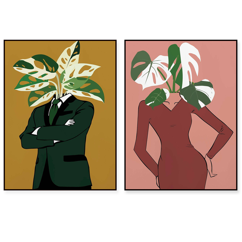 Monstera Albo in a burgundy dr - Monstera Adansonii 리뷰 및 가격