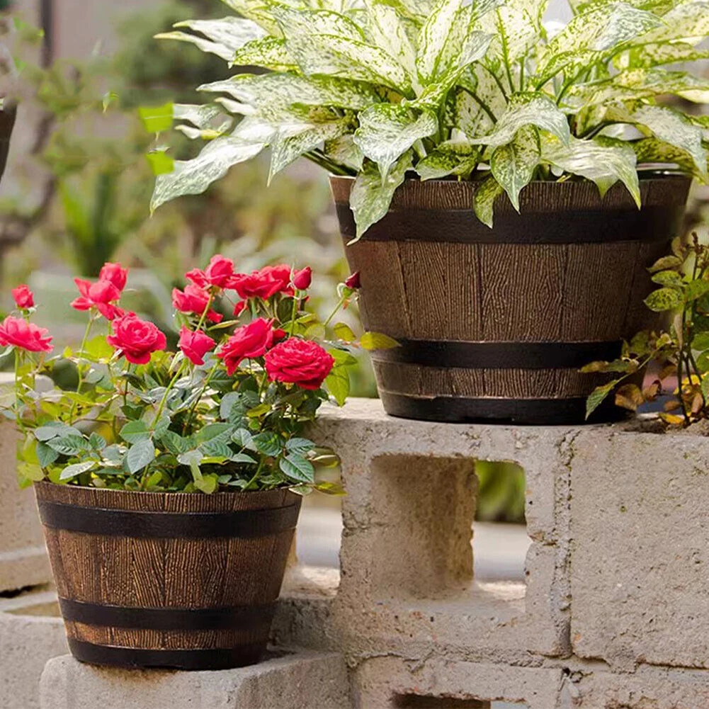 Rustic Whiskey Bucket Resin Po - Aloe Vera Pot 리뷰 및 가격
