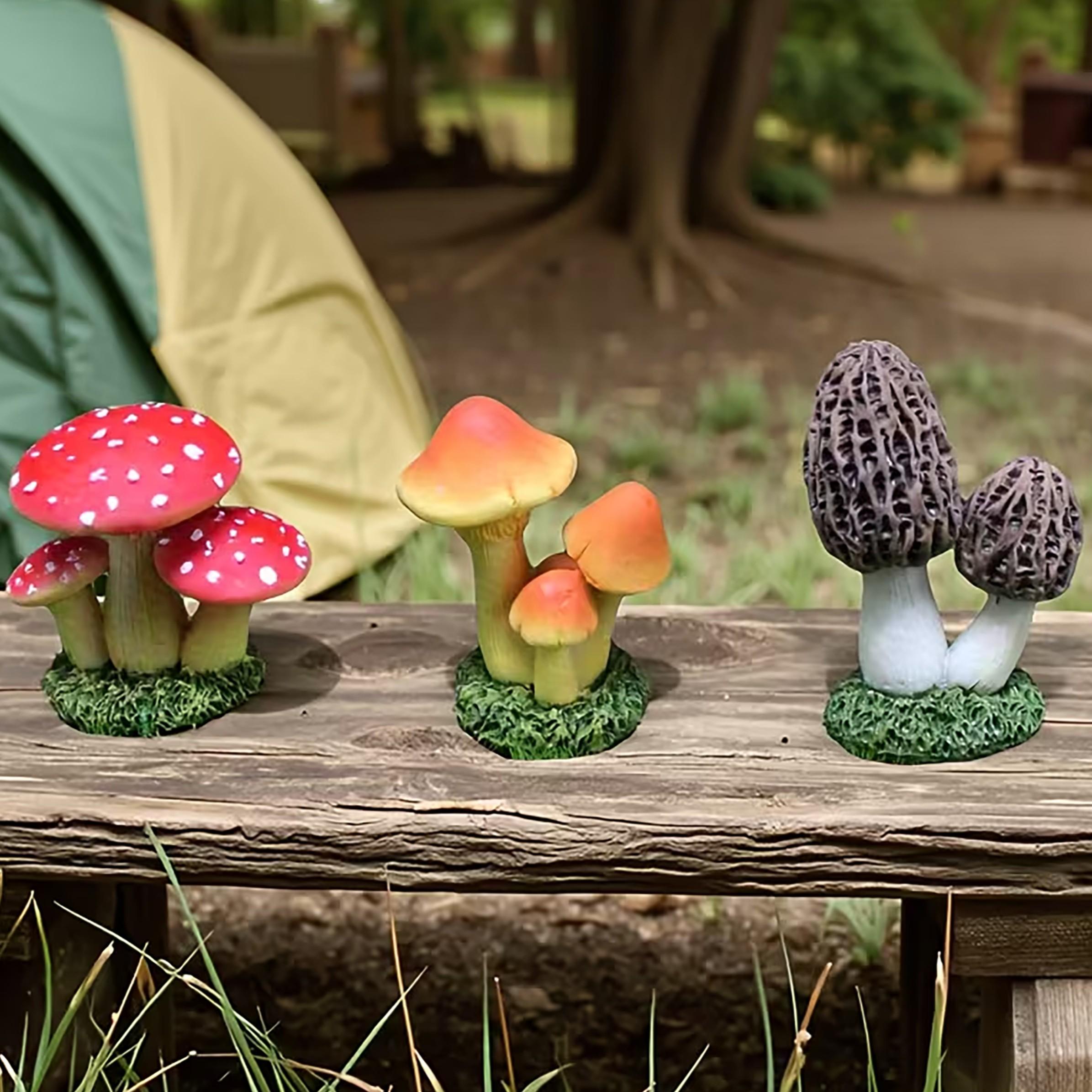 1 Set of 3pcs Artificial Mushr - Echeveria Succulent 리뷰 및 가격