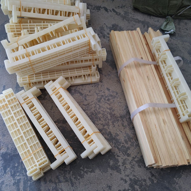 Bee Breeding Frames Plastic Ch - Begonia Rex 리뷰 및 가격