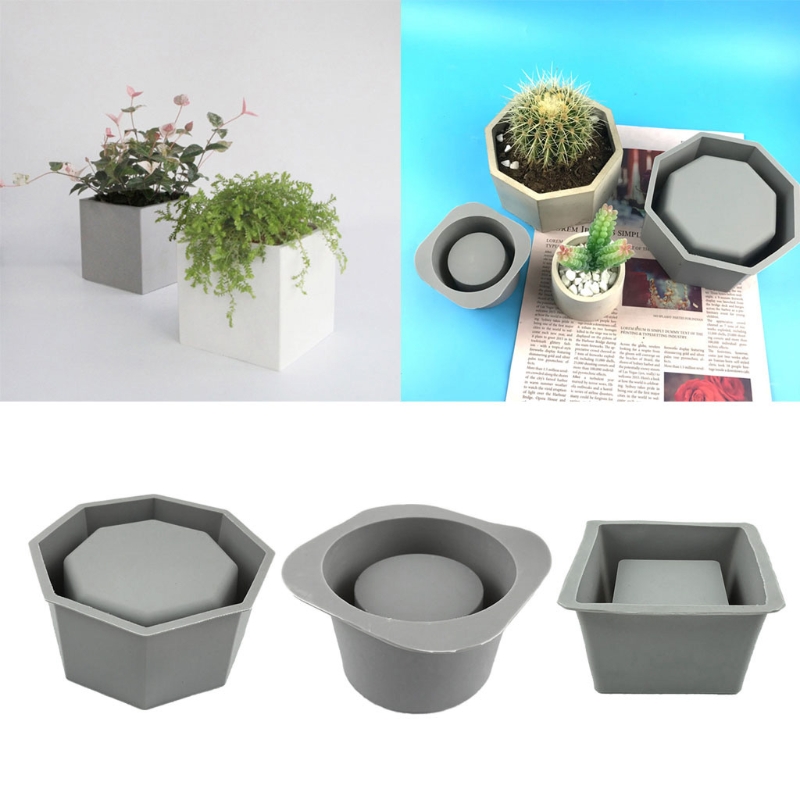 Handmade Succulent Planter Flo - Echeveria Succulent 리뷰 및 가격