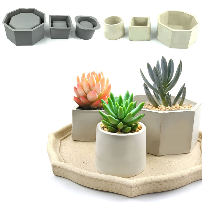 Handmade Succulent Planter Flo - Echeveria Succulent 리뷰 및 가격