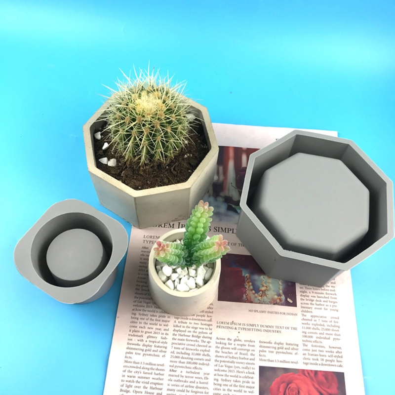 Handmade Succulent Planter Flo - Echeveria Succulent 리뷰 및 가격