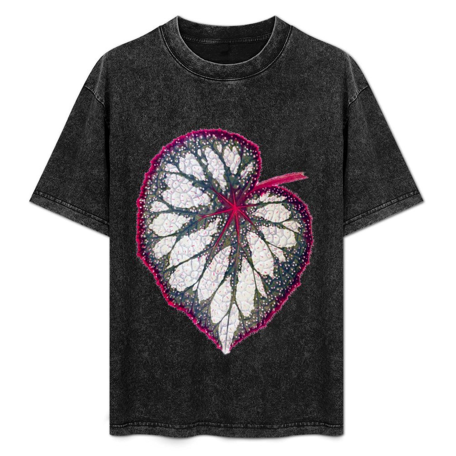 Begonia rex T-Shirt Holiday Si - Begonia Rex 리뷰 및 가격