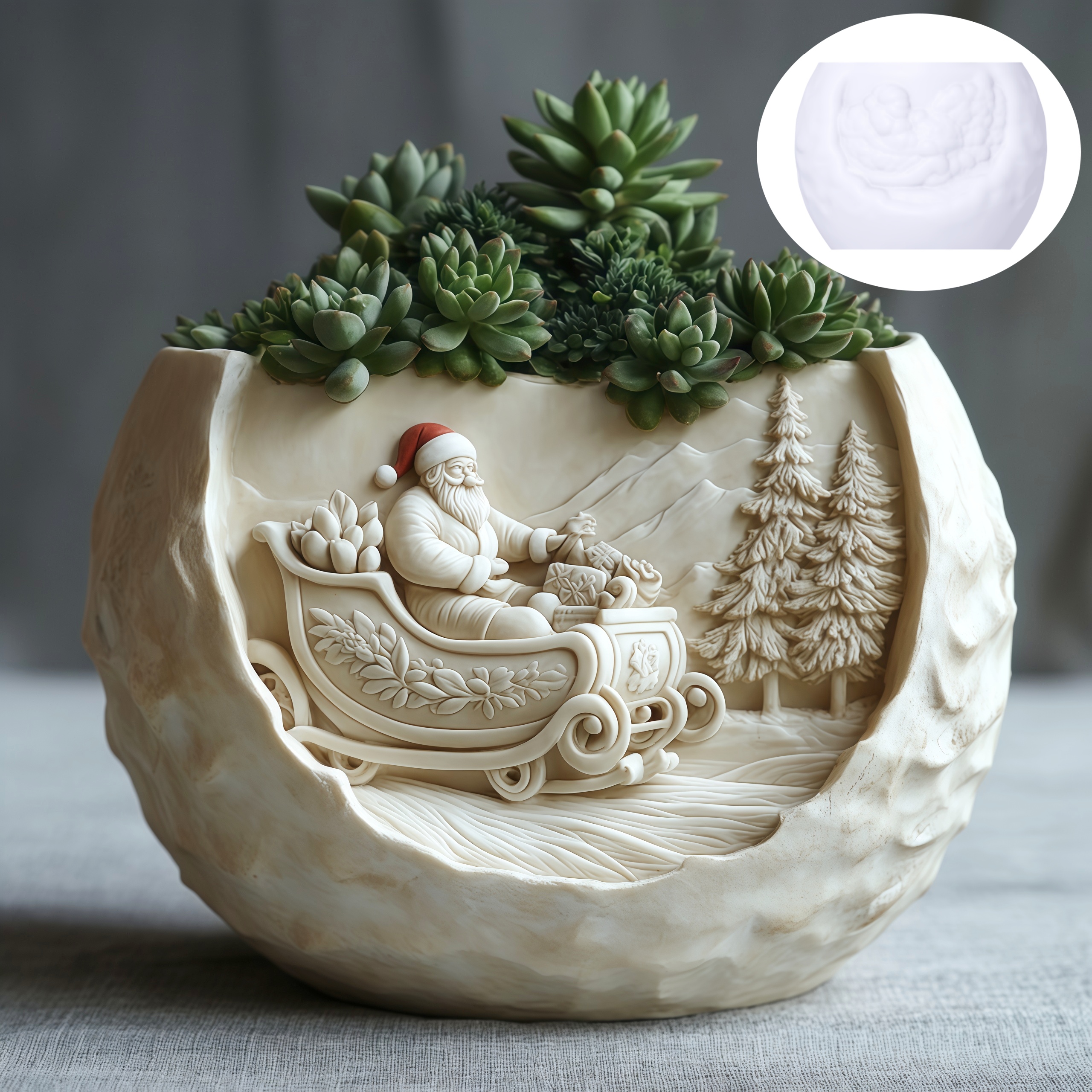 Cedar Sled Santa Claus Relief  - Echeveria Succulent 리뷰 및 가격