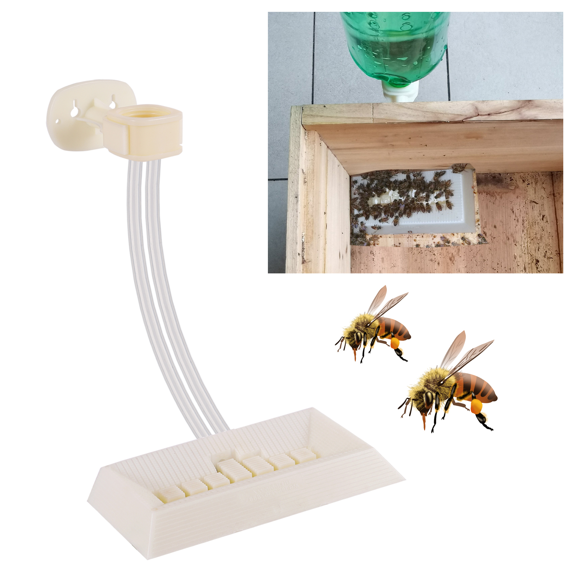 2Pcs Automatic Feeding Drinker - Begonia Rex 리뷰 및 가격