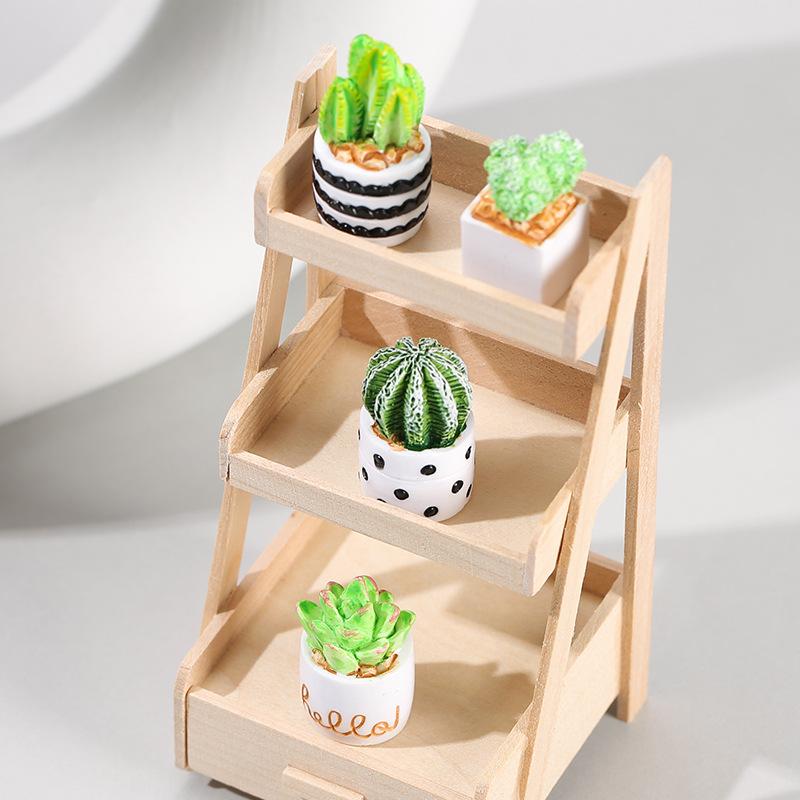 4-Piece Set of Cactus Succulen - Echeveria Succulent 리뷰 및 가격