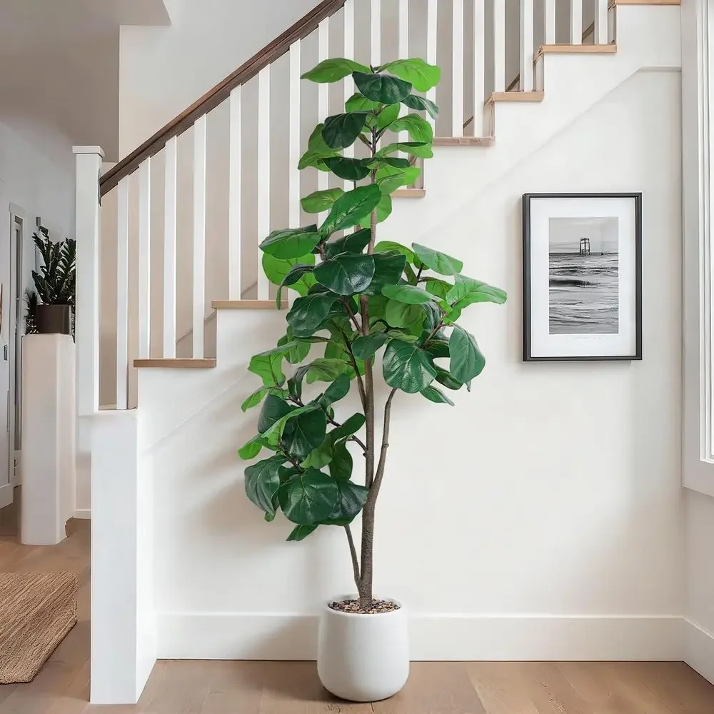 Artificial Large Ficus Lyrata  - Ficus Lyrata Tree 리뷰 및 가격