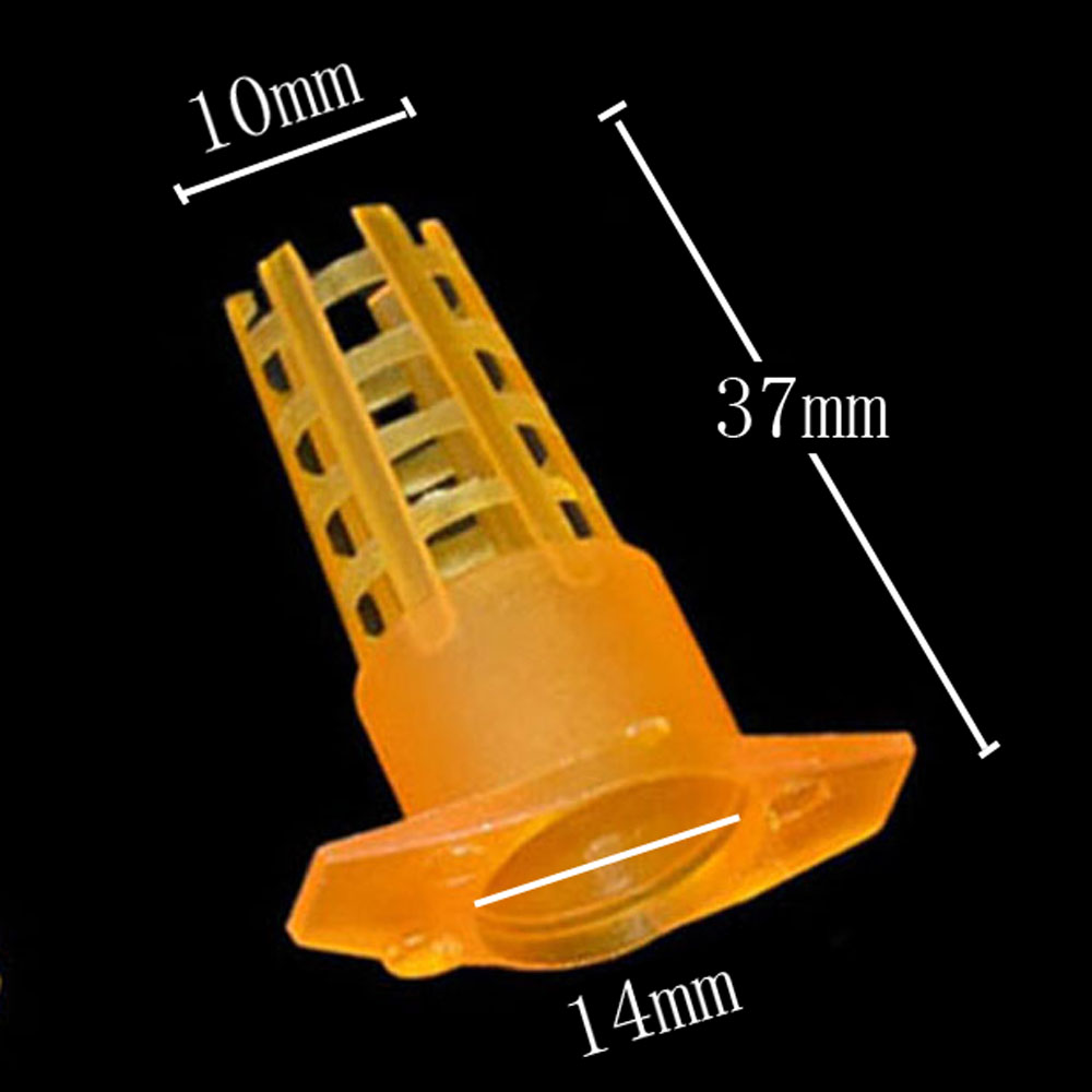 20 pcs Plastic Bee Queen Cage  - Begonia Rex 리뷰 및 가격