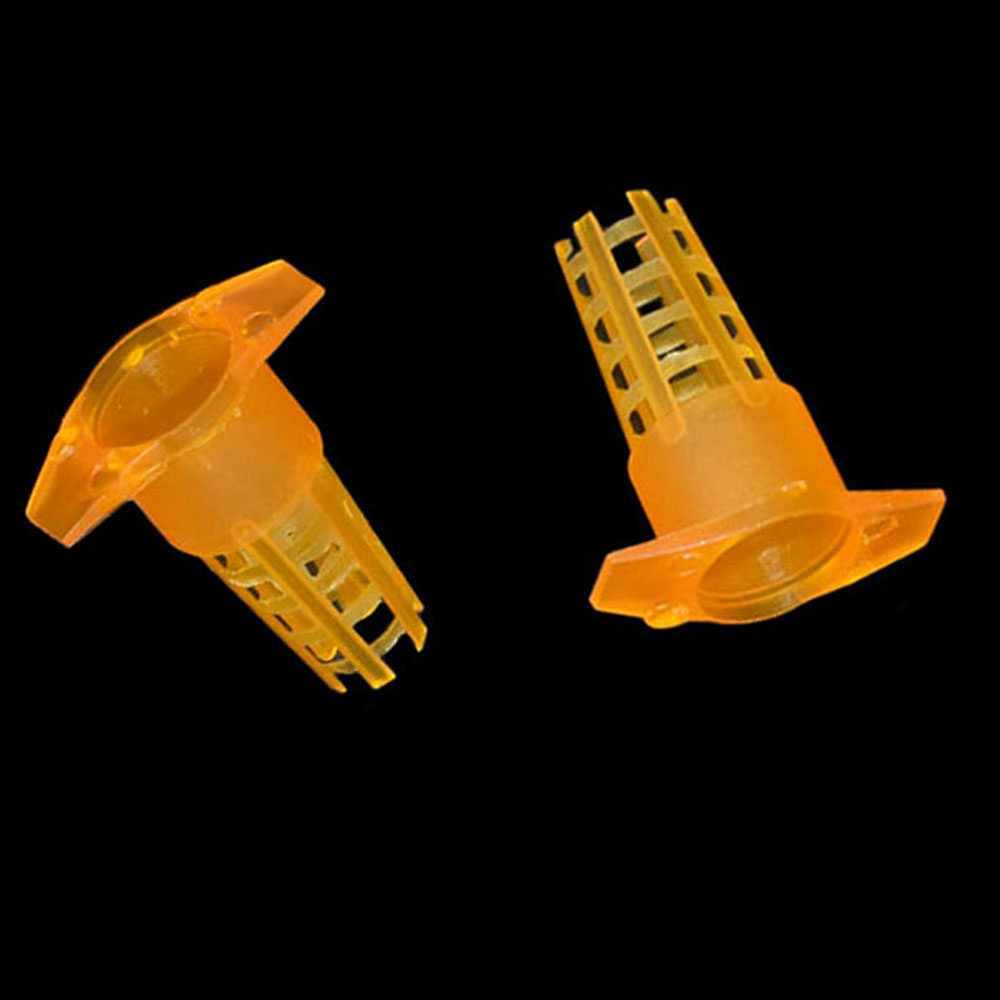 20 pcs Plastic Bee Queen Cage  - Begonia Rex 리뷰 및 가격