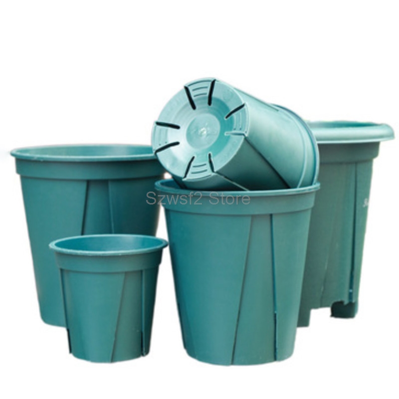 5/10pcs Green Plastic Plant Fl - Aloe Vera Pot 리뷰 및 가격