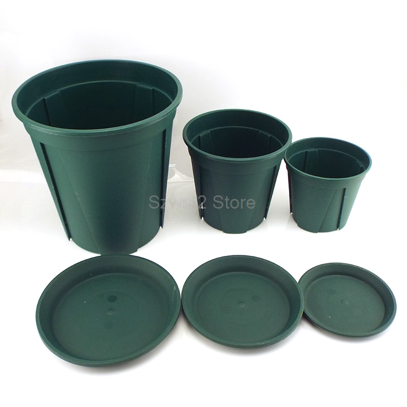 5/10pcs Green Plastic Plant Fl - Aloe Vera Pot 리뷰 및 가격