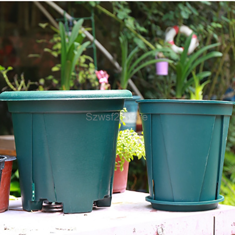 5/10pcs Green Plastic Plant Fl - Aloe Vera Pot 리뷰 및 가격