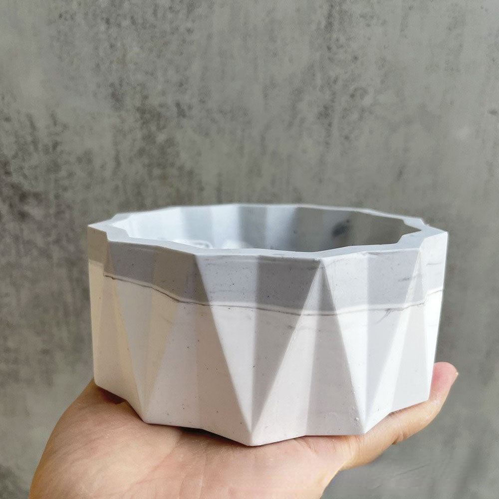 For Fun Flower Pot Silicone Mo - Echeveria Succulent 리뷰 및 가격